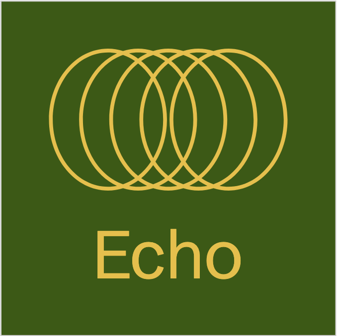 Echo Logo